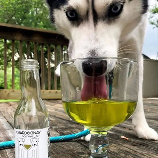 CharDOGnay Salmon + Bone Health Dog Wine Liquid Supplement