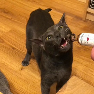 Pinot Meow Cat Wine Liquid Catnip For Cats