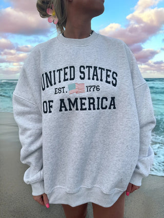 United States Of America Embroider Flag Sweatshirt Pearl Grey