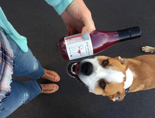 Zinfantail Salmon + Bone Health Dog Wine Liquid Supplement