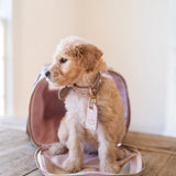 Luxi Lou Pet Carrier [Hollis]