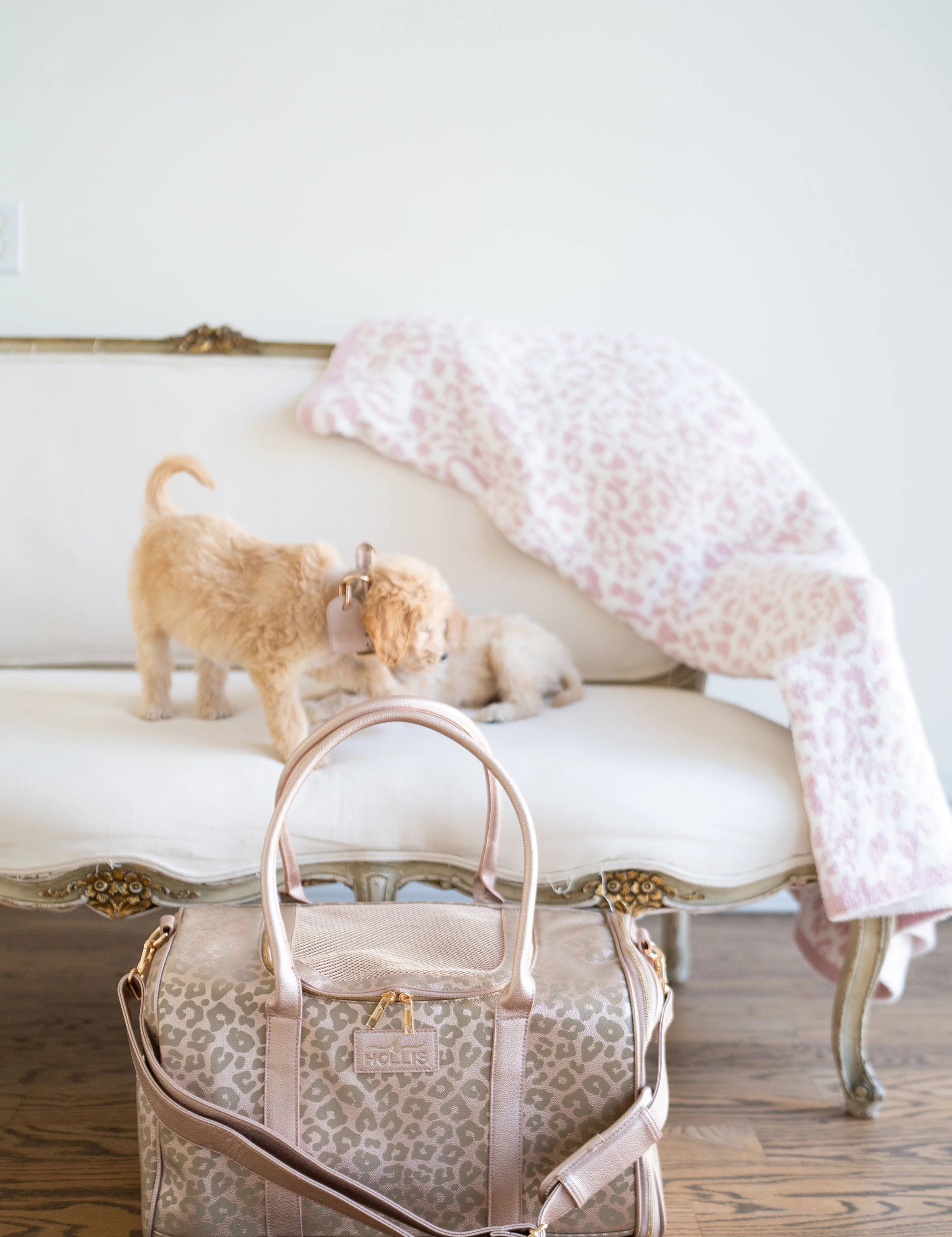 Luxi Lou Pet Carrier [Hollis]